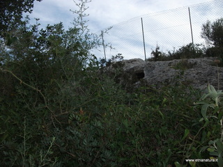 Cava Bern